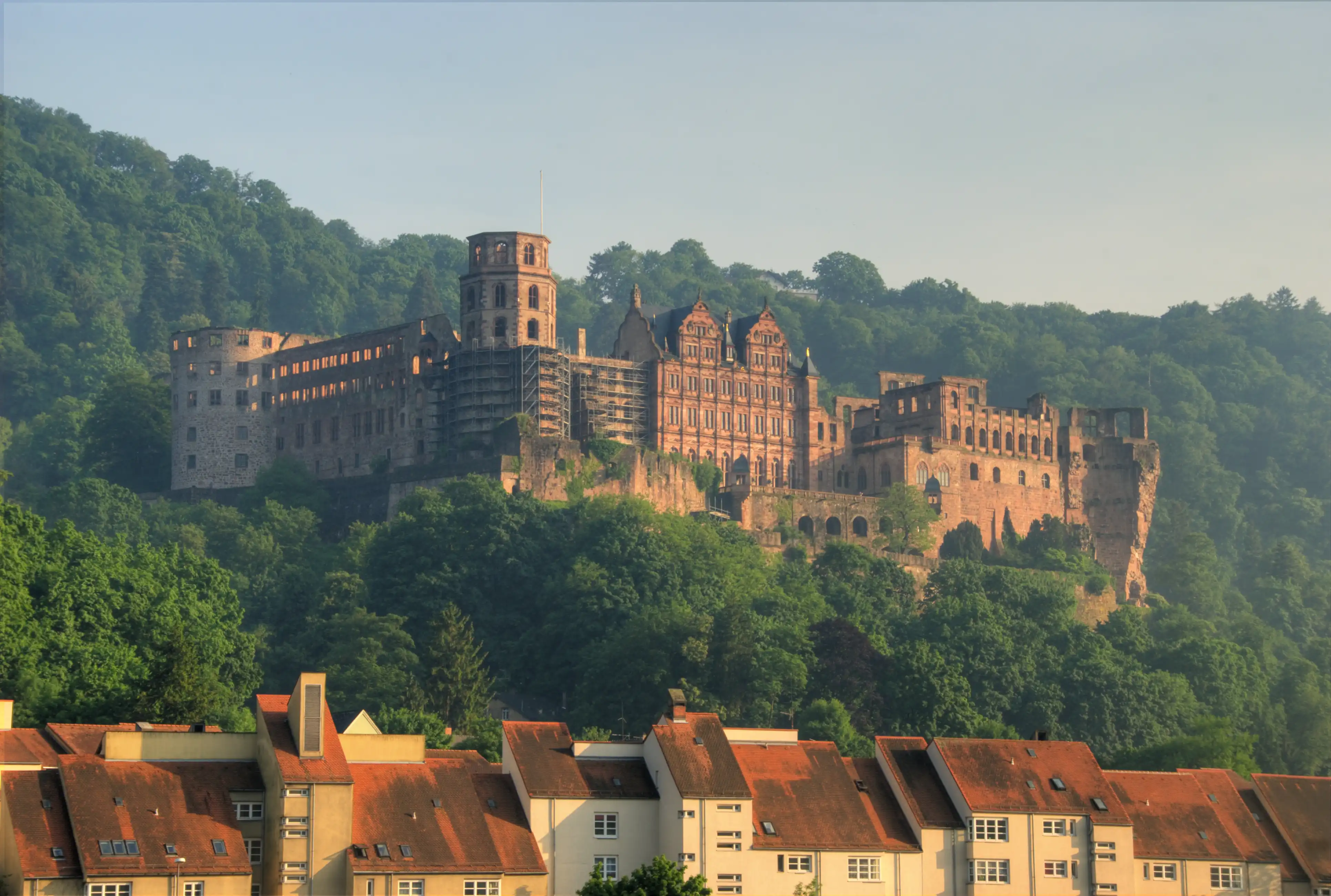 Heidelberg tourism