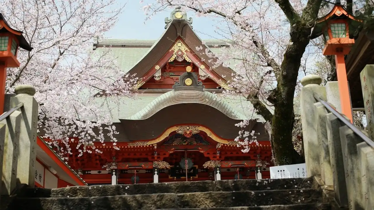Kashiwa tourism