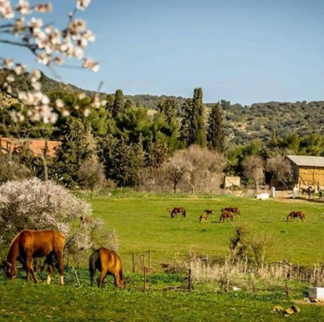 Tiaret tourism