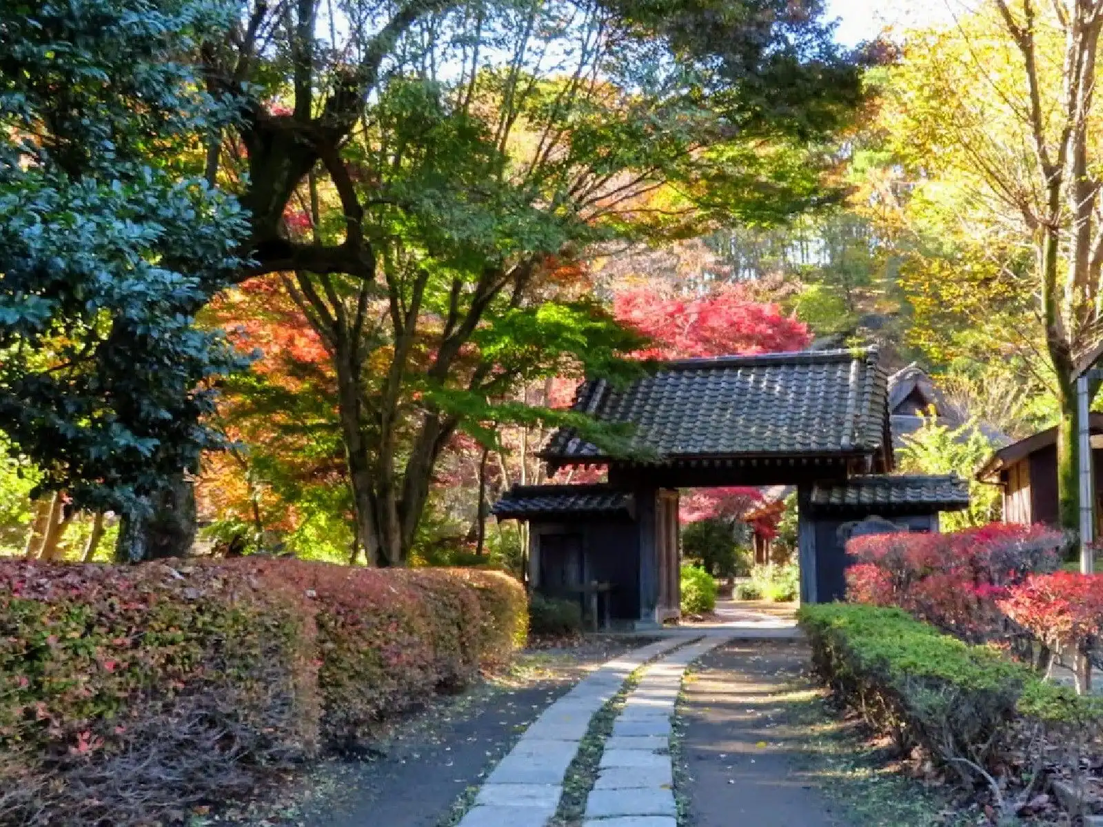 Machida tourism