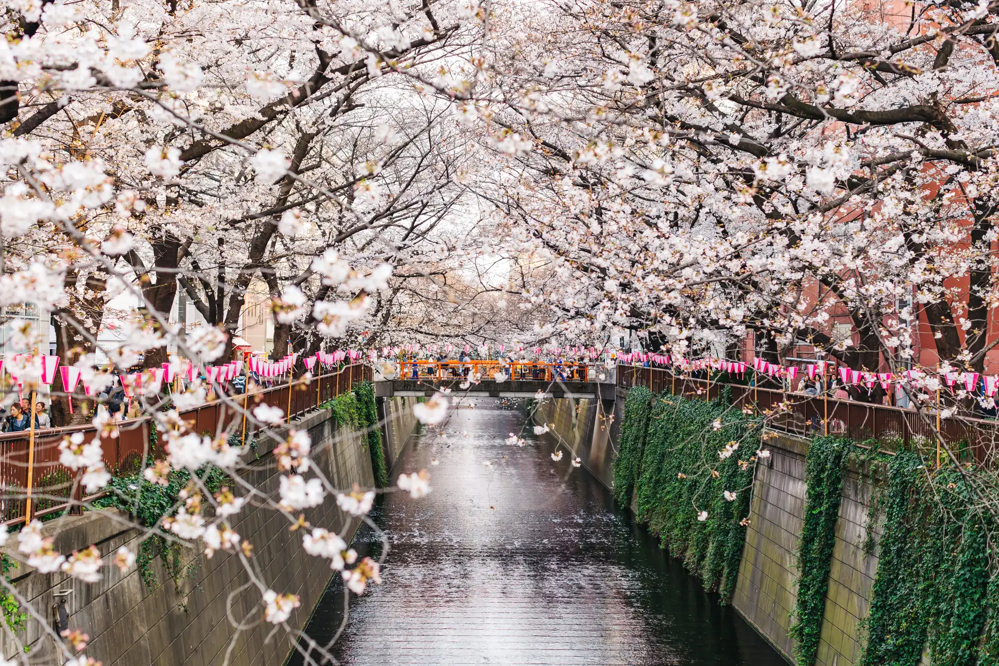 Meguro tourism