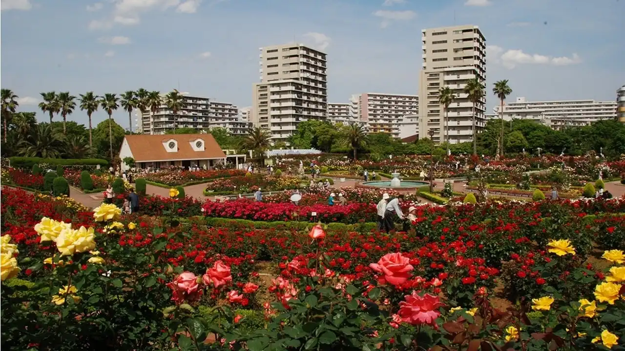 Narashino tourism