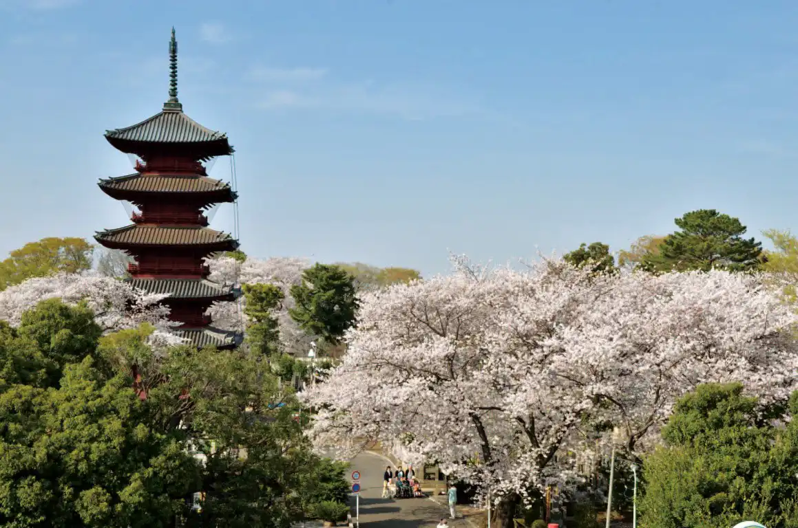 Ōta tourism