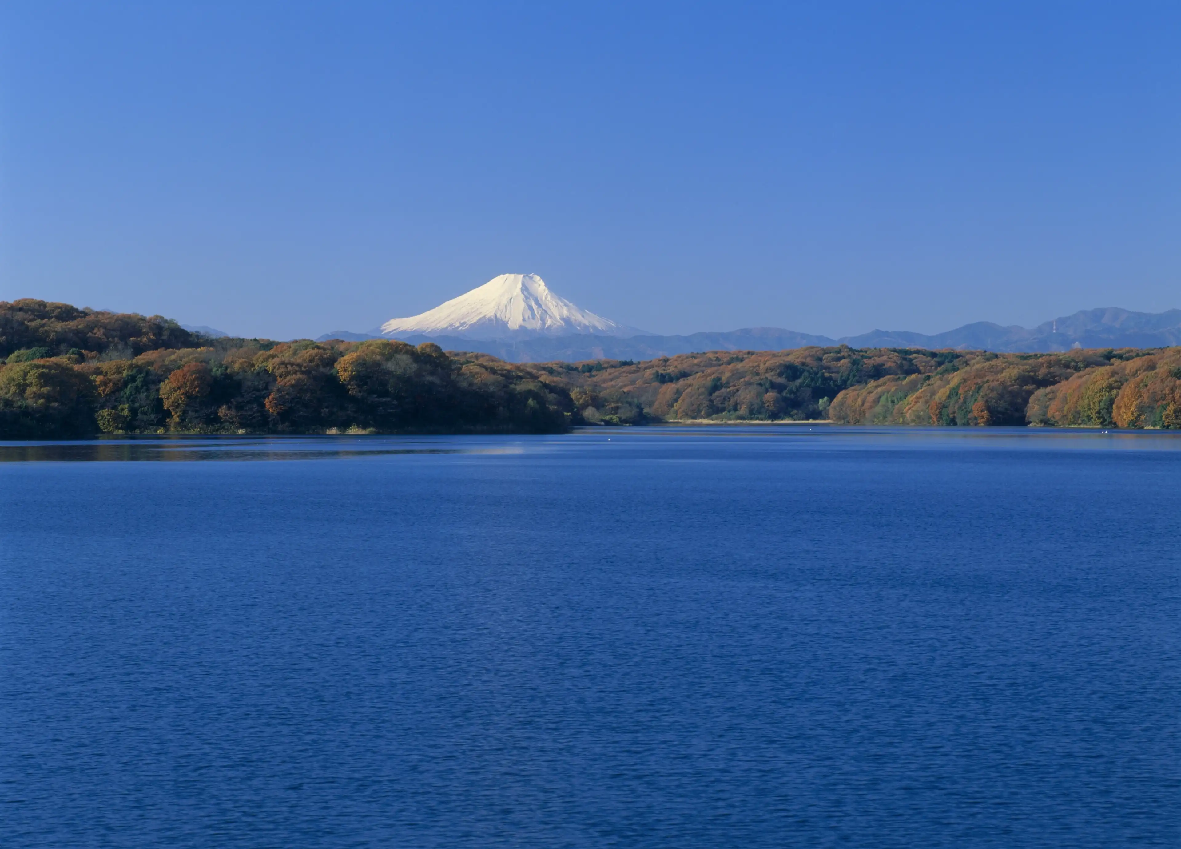 Tokorozawa tourism