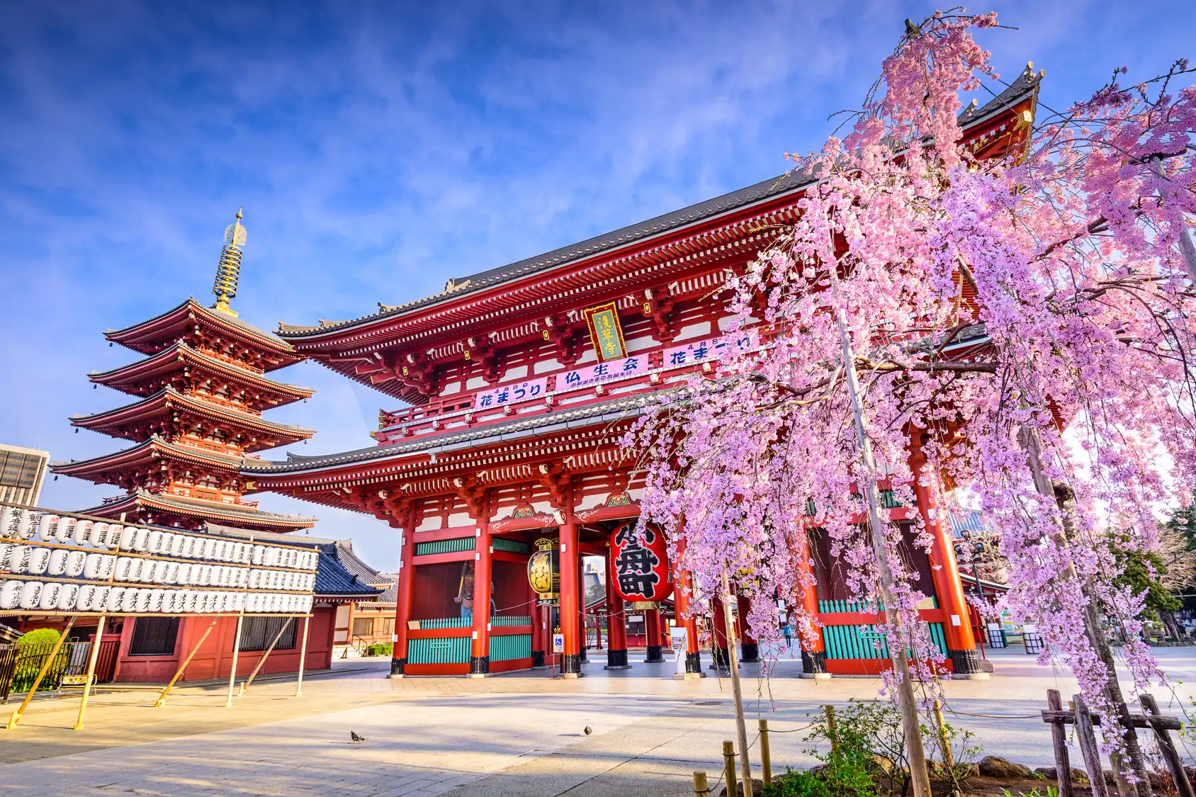 Tokyo tourism