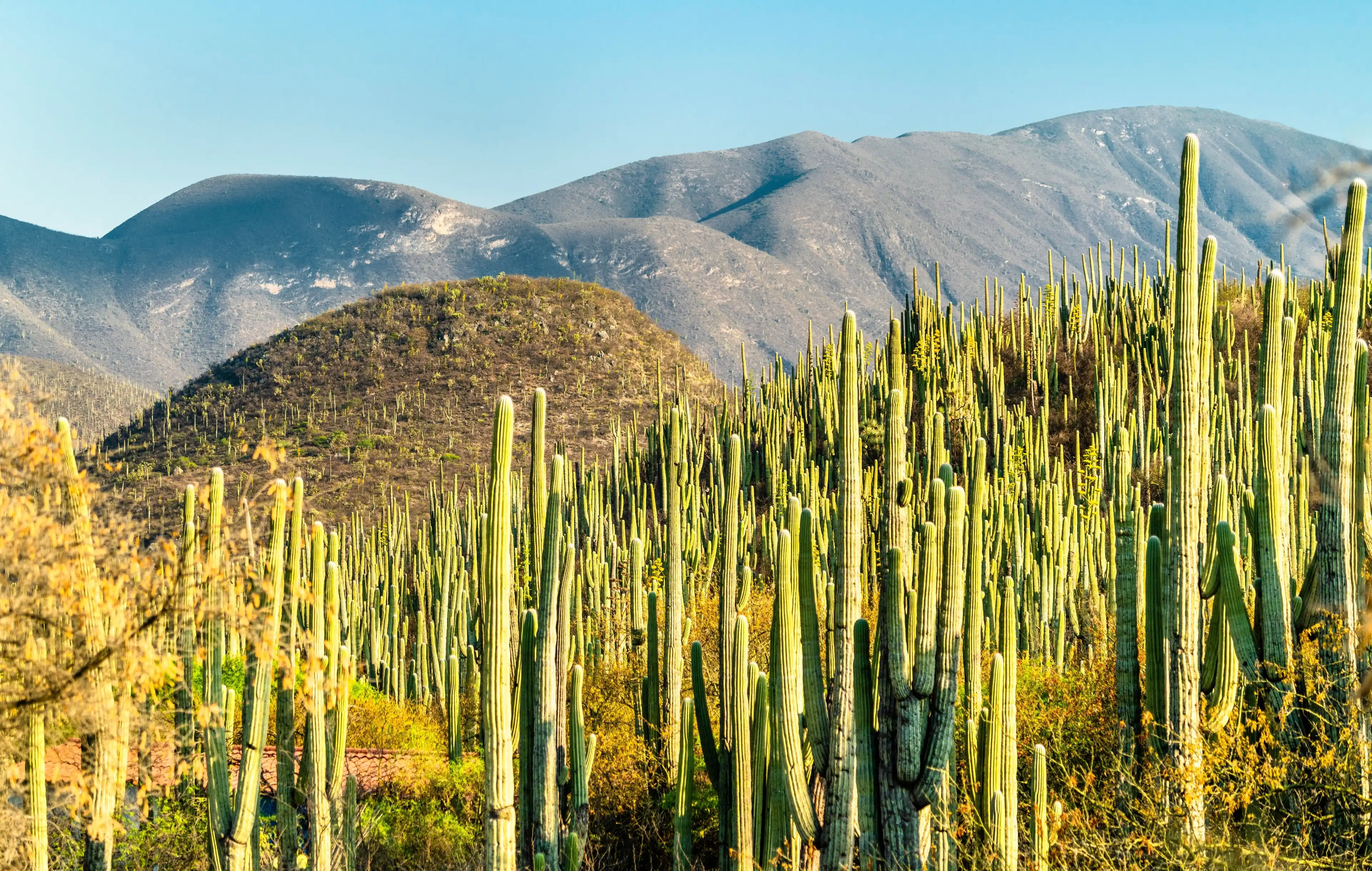 Tehuacán tourism