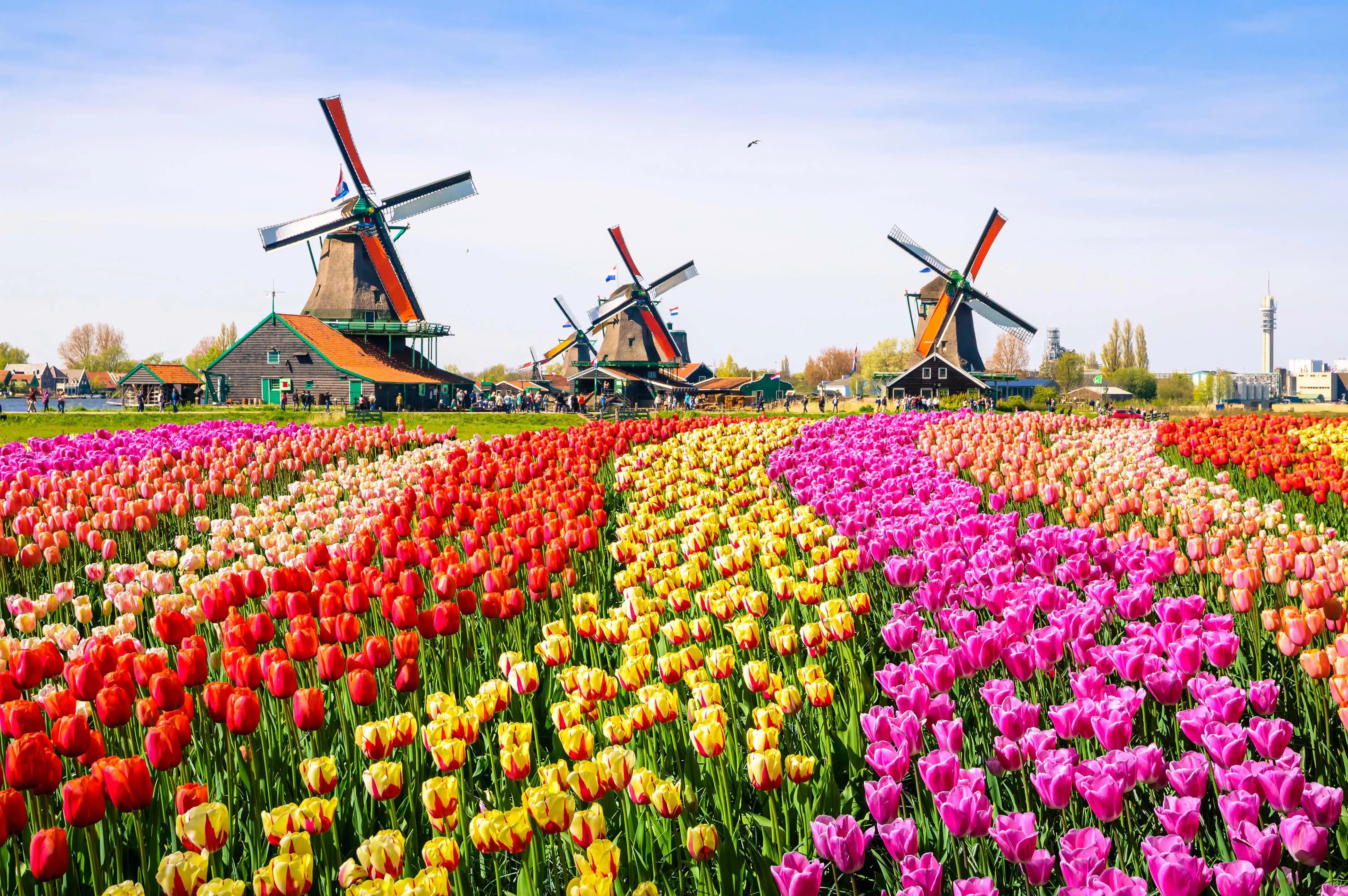 Netherlands tourism