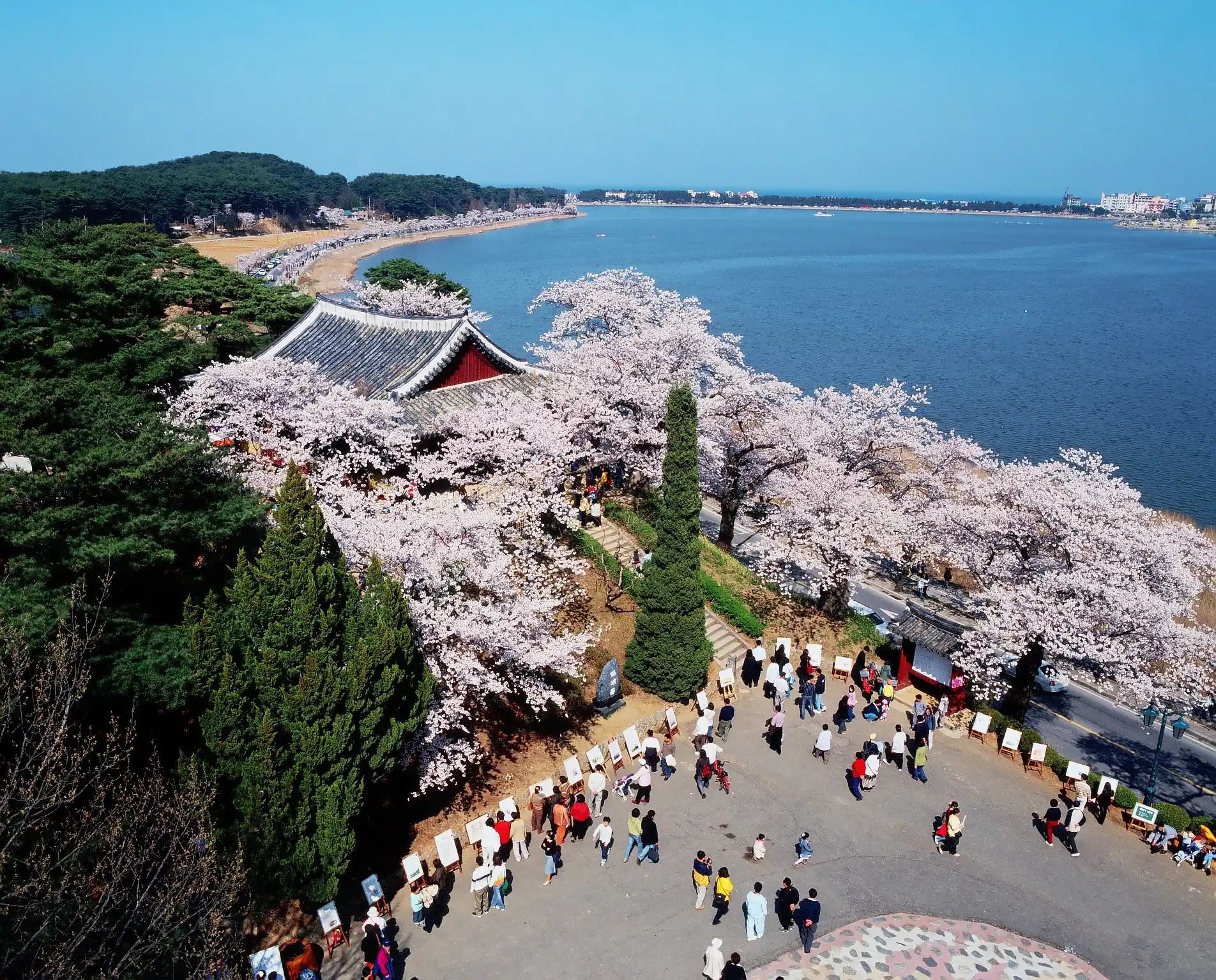 Gangneung tourism