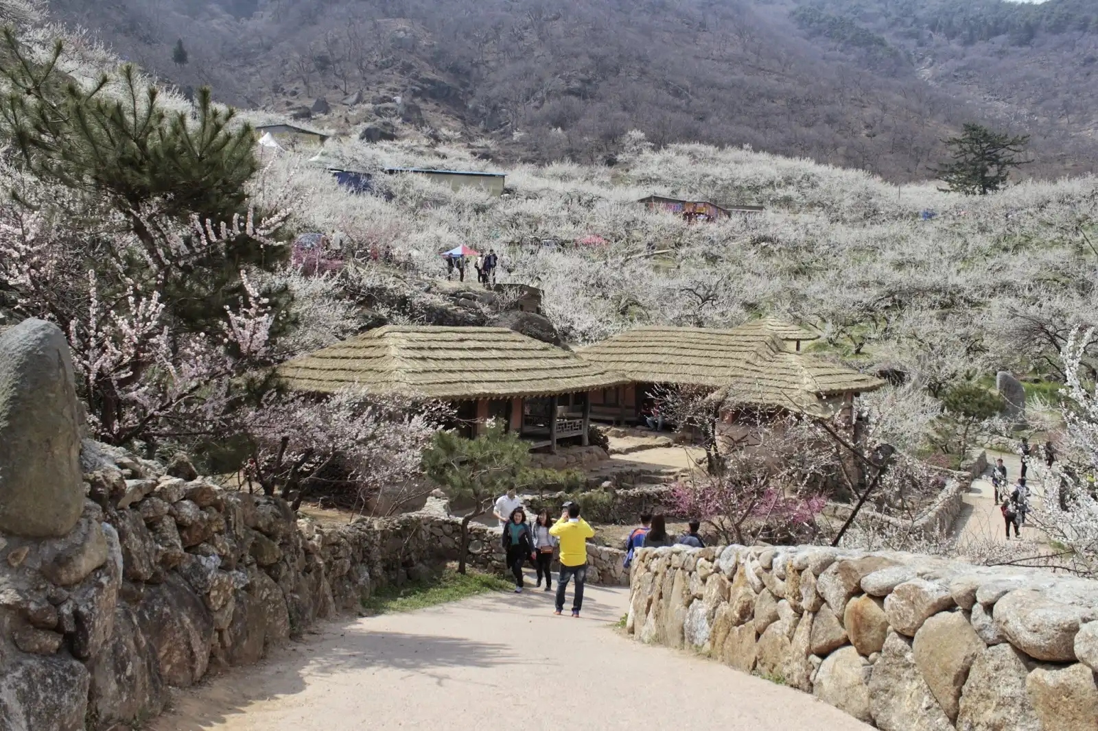 Gwangyang tourism