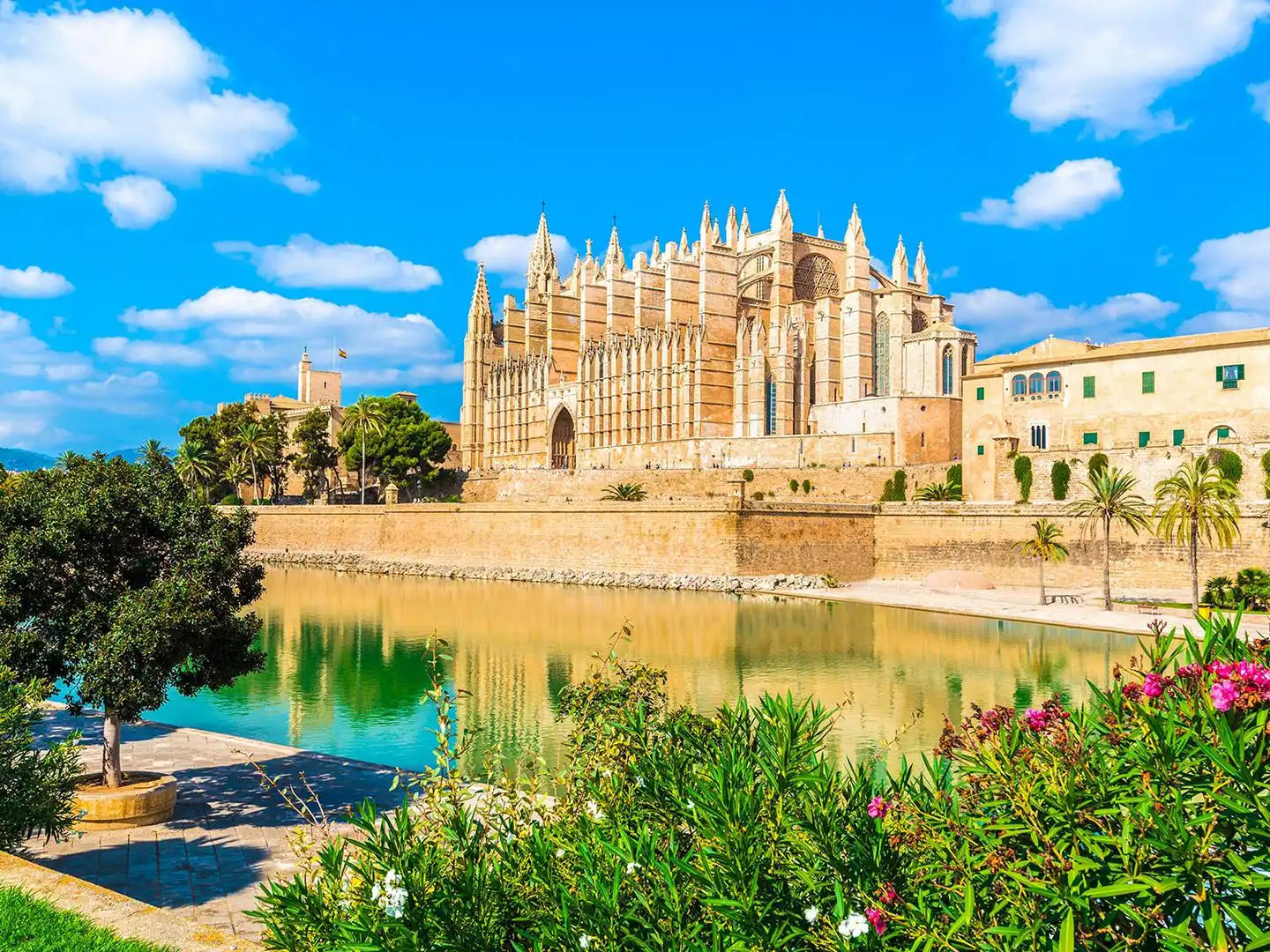 Palma tourism