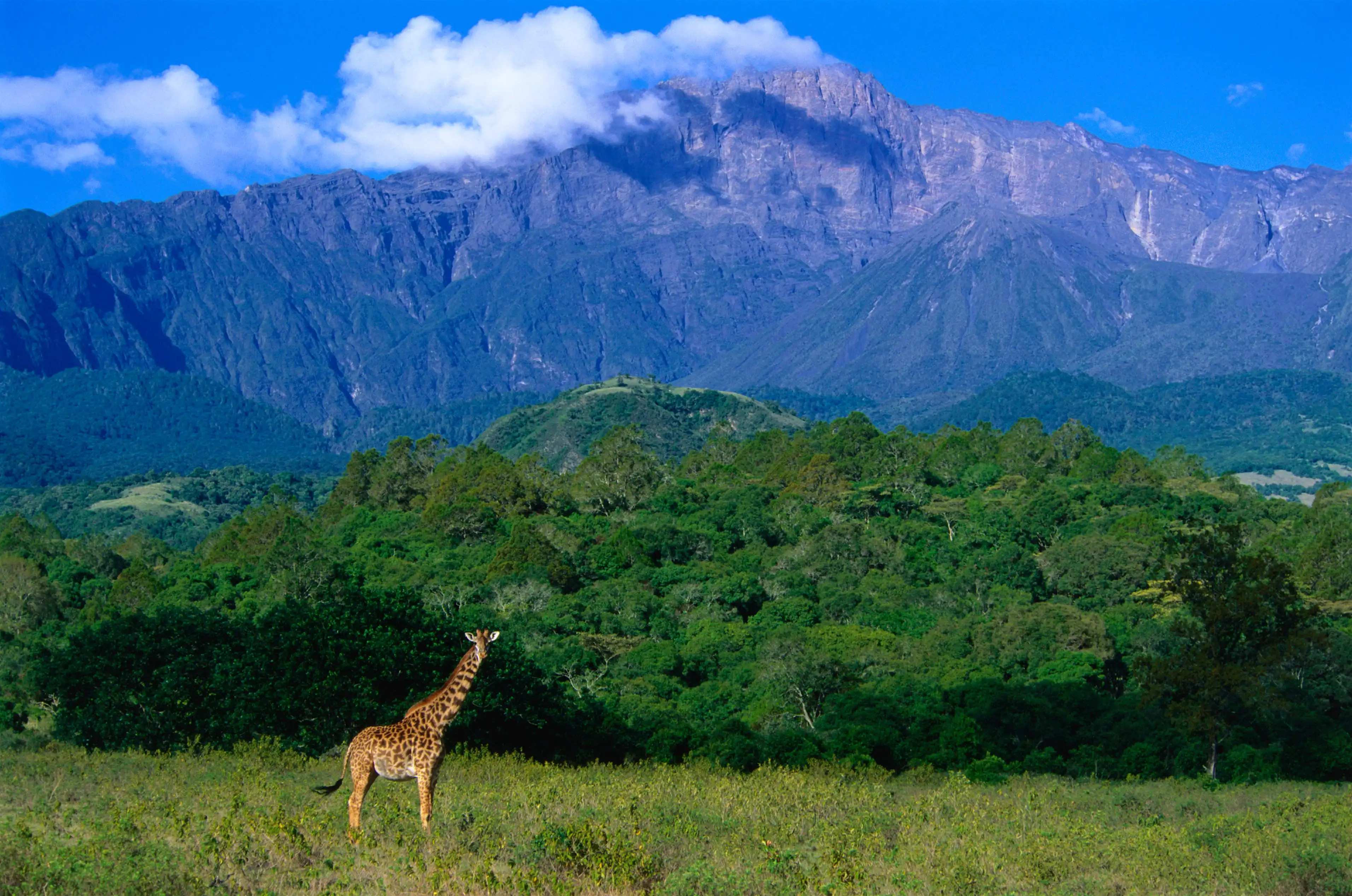 Arusha tourism