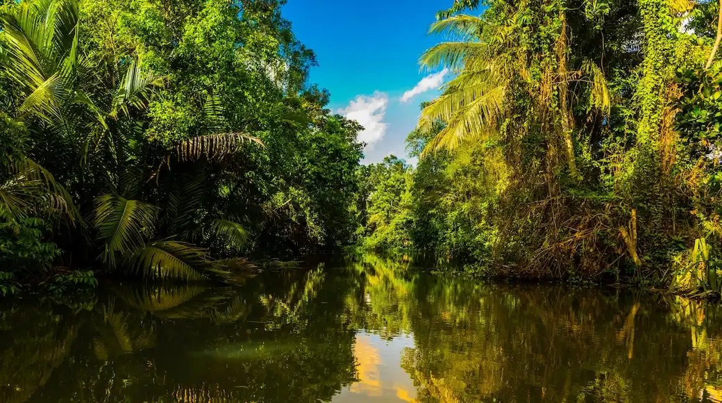 Long Khánh tourism