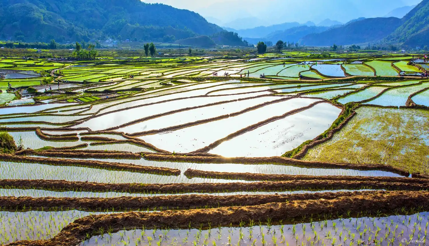 Tân Uyên tourism