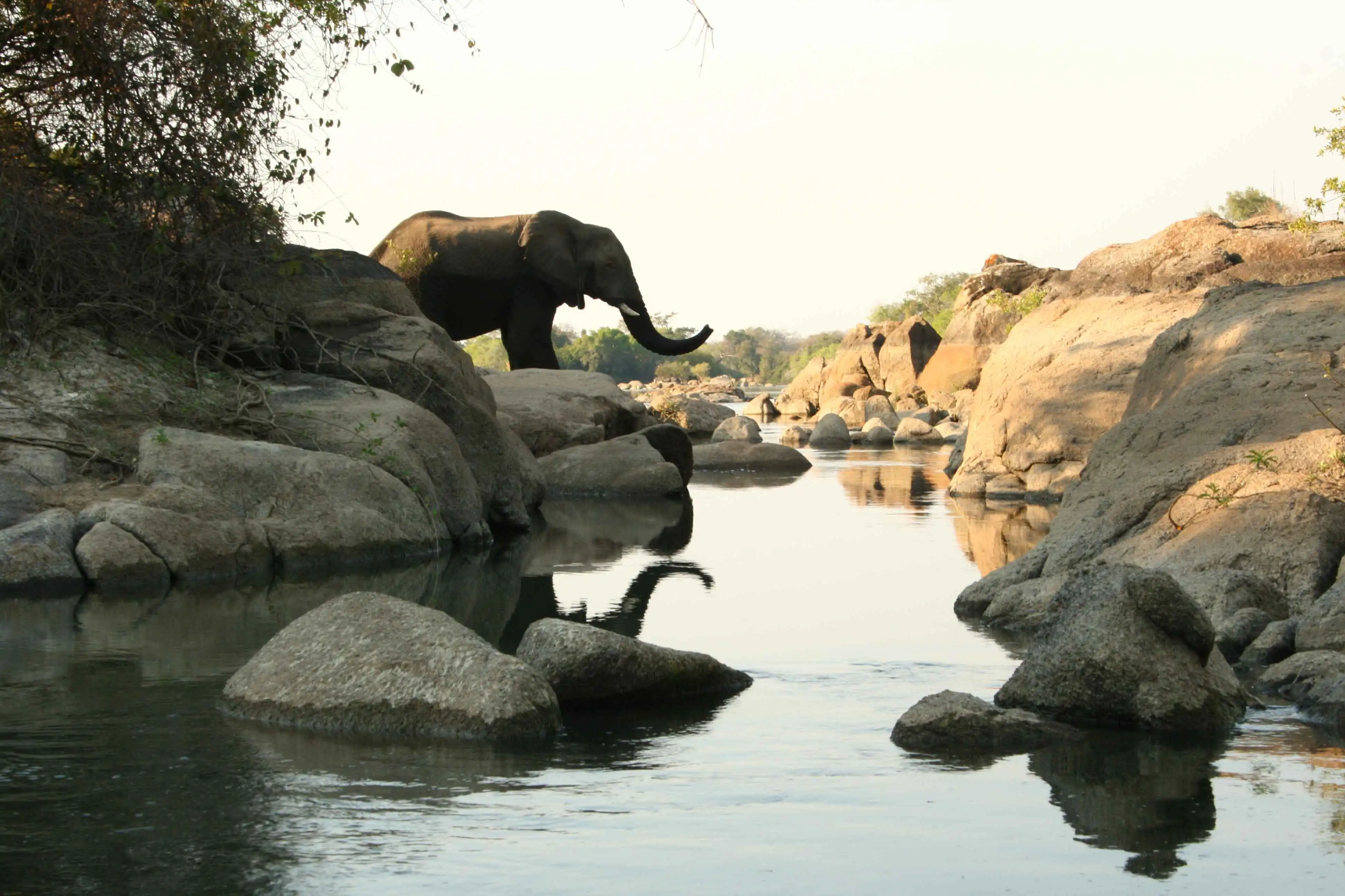 Kafue tourism